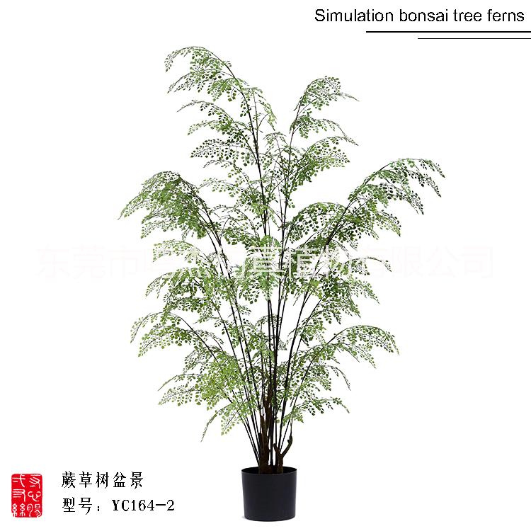 仿真波斯葉蕨草盆景羊齒蕨水杉葉巴 熱帶仿真波斯蕨草盆景 仿真波斯蕨草盆景 仿真波斯蕨草盆景仿真波斯蕨草盆景YC164-1
