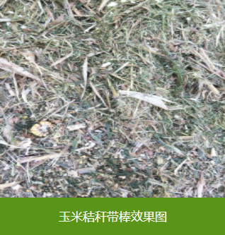 陜西秸稈飼料廠家粗飼料廠家大量供應新疆內蒙地區(qū)廠家* 陜西粗飼料廠家 陜西粗飼料廠家批發(fā)供應
