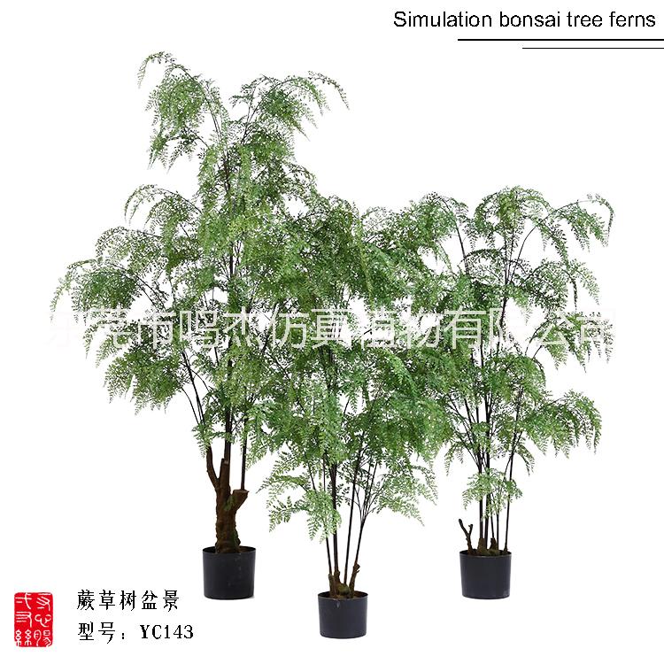 仿真波斯葉蕨草盆景羊齒蕨水杉葉巴熱帶仿真波斯蕨草盆景仿真波斯蕨草盆景YC143-1