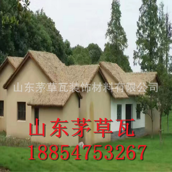 吉林長(zhǎng)春防火仿真茅草瓦 全國(guó)廉價(jià)茅草瓦  山東茅草瓦報(bào)價(jià) 裝修建材茅草供應(yīng)商 山東仿稻草合作社