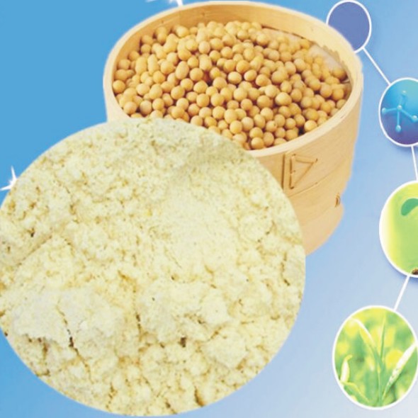 食品級(jí)大豆卵磷脂粉末磷脂價(jià)格