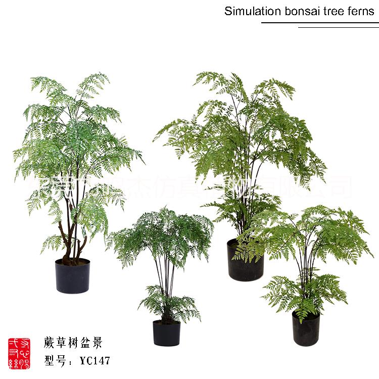 北歐仿真波斯蕨草盆景室內(nèi)軟裝假樹假草工藝品  仿真樹供應(yīng)商 仿真波斯蕨草盆景YC147