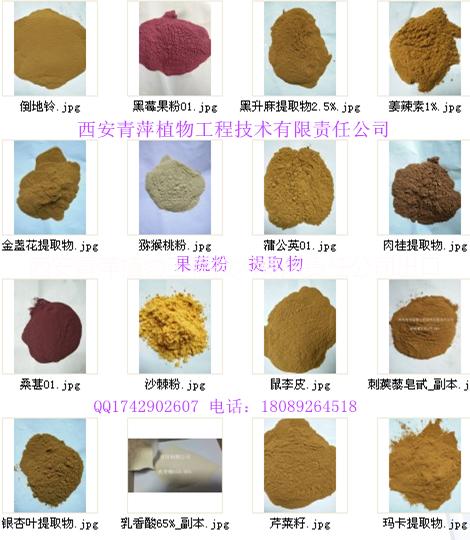 供應(yīng)地黃提取物10：1 地黃提取物10：1/生產(chǎn)廠家