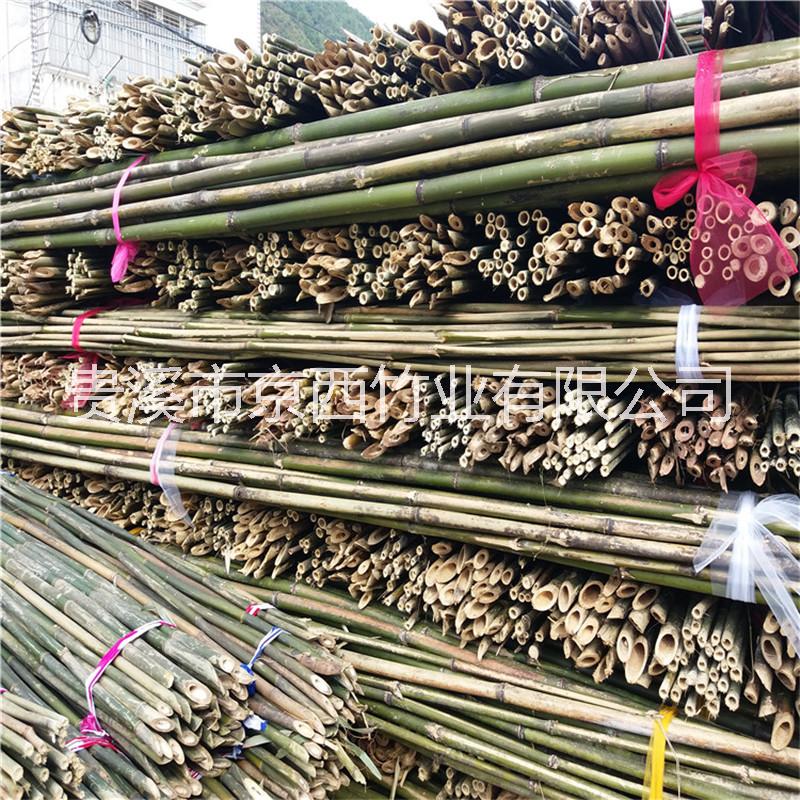 廠家大量批發(fā)山地蘋果支撐竹桿
