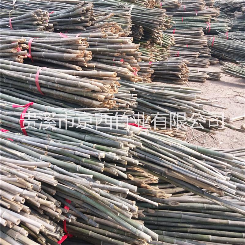 石家莊竹竿廠家直銷(xiāo) 菜架竹毛竹竹竿尖竹梢