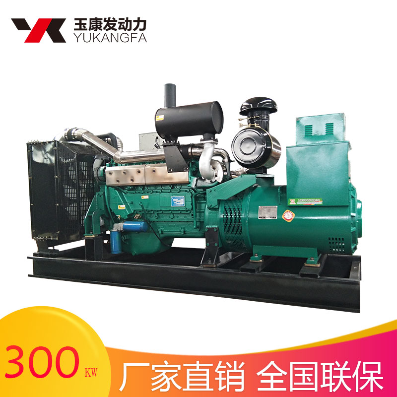 供應(yīng)300kw發(fā)電機(jī)組火車站備用