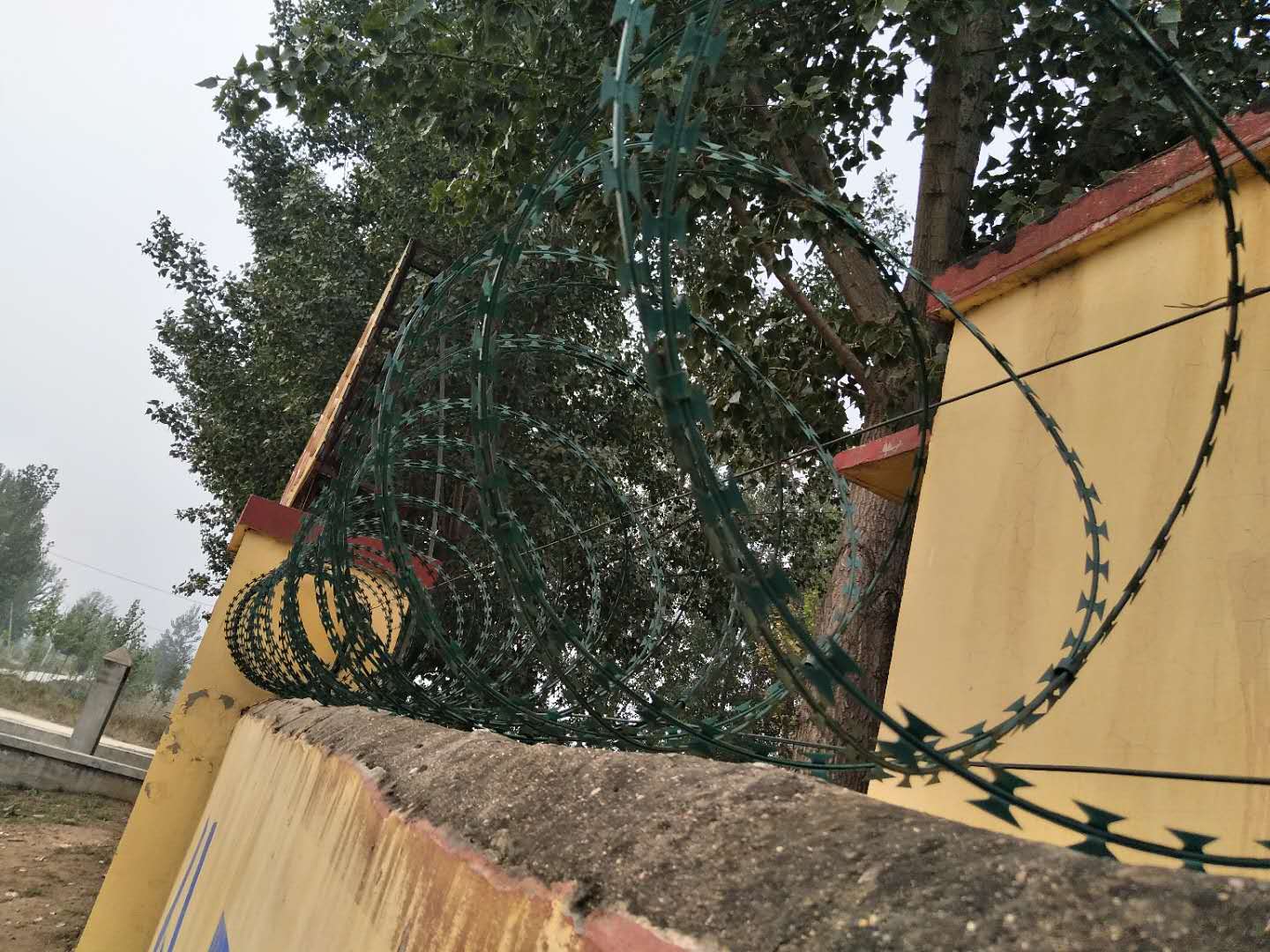 鍍鋅刺繩護欄網(wǎng) 鍍鋅刺繩護欄網(wǎng)/鐵蒺藜圍欄網(wǎng)廠家