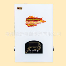 供應(yīng)河北畜熱電暖器廠家直銷/鑫新電器批發(fā)價格/畜熱電暖器采購訂購報價對流電暖器品牌哪家好