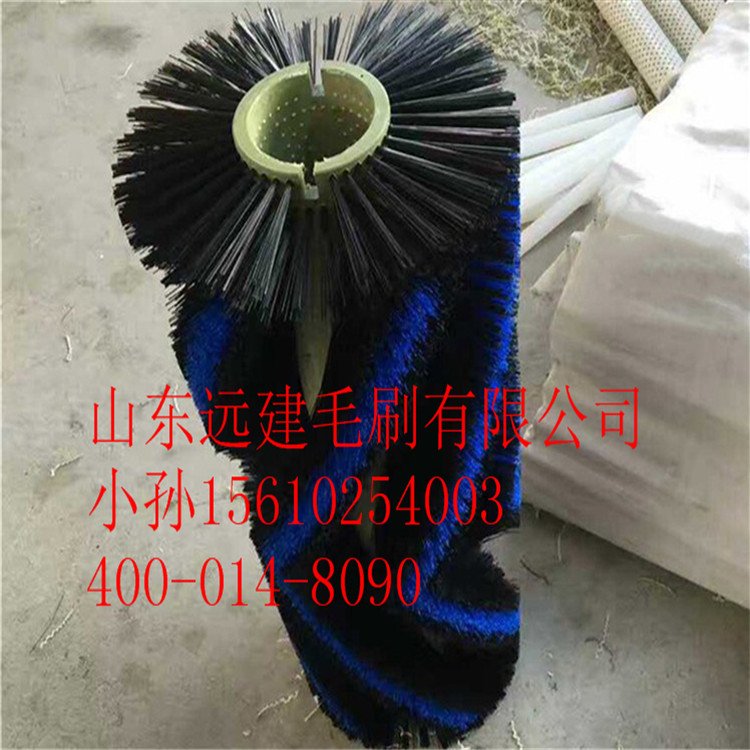 廠家定做工業(yè)食品玻璃滾筒刷果蔬去塵尼龍絲清洗機(jī)茶葉揀梗毛刷輥