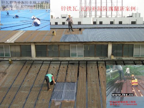 專業(yè)房屋補漏 辛瓦補漏 辛瓦更換