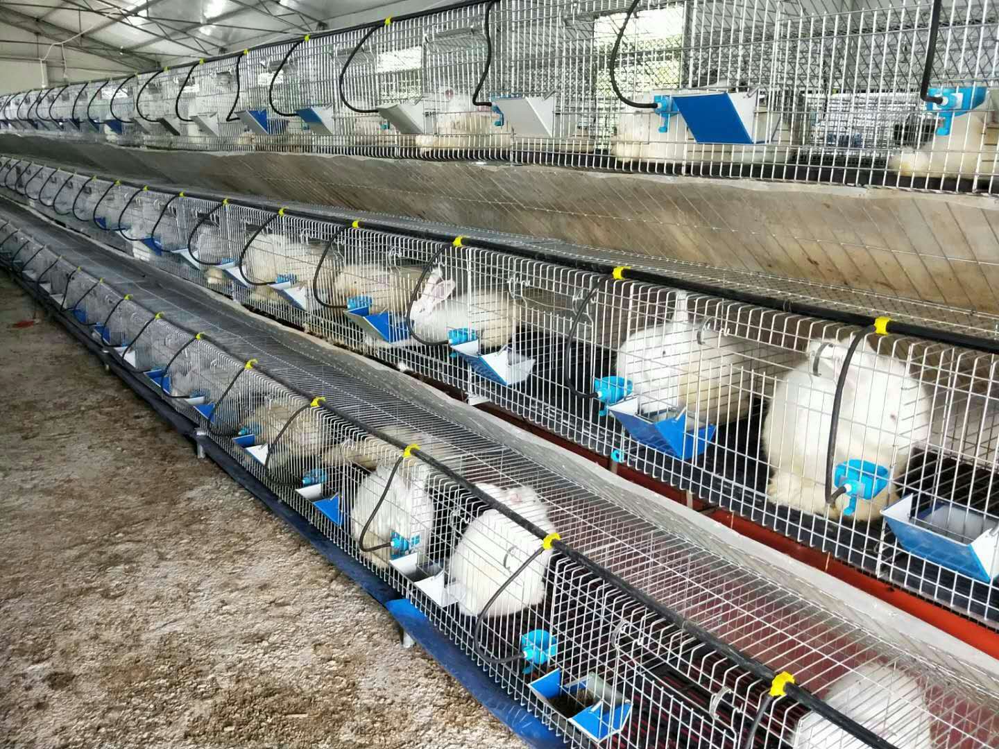 兔子籠子批發(fā)兔子窩批發(fā)兔舍批發(fā)