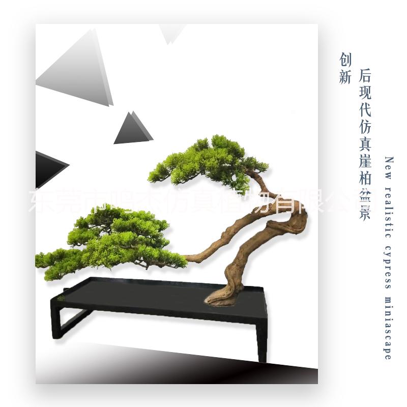 植物盆景景觀工藝品室內(nèi)庭院擺設(shè) 東莞植物盆景植物盆景生產(chǎn)廠家 仿真崖柏松工藝品 仿真崖柏松盆景BC124
