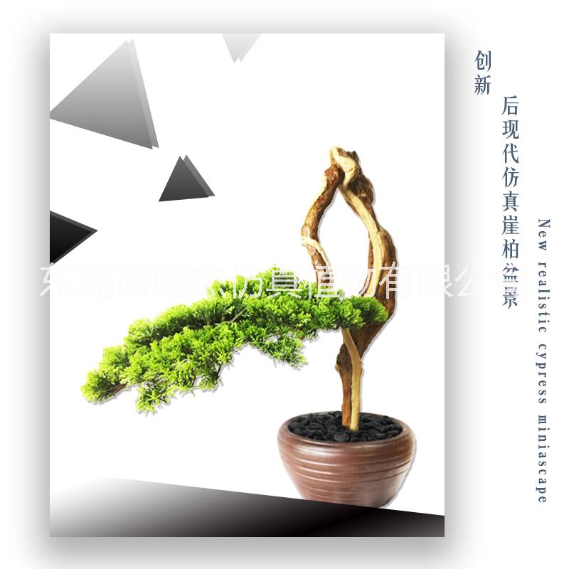 植物盆景景觀工藝品室內(nèi)庭院擺設(shè) 東莞植物盆景植物盆景生產(chǎn)廠家 仿真崖柏松工藝品 仿真崖柏松盆景BC127