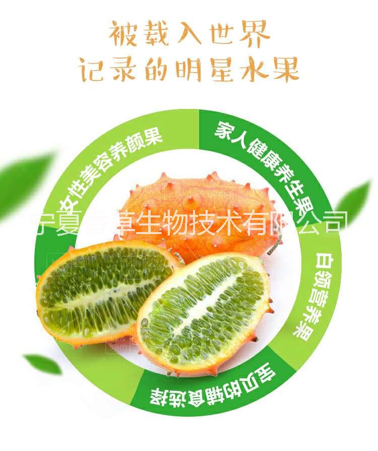火參果粉火參果提取物 奇瓦諾果汁 非洲刺角瓜粉 蜜瓜多糖 火星果粉 濃縮汁寧夏廠家批發(fā)價格