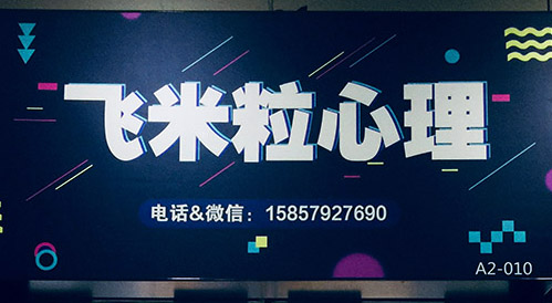 義烏婚前心理咨詢、婚前指導(dǎo)、婚前輔導(dǎo)老師心理學(xué)碩士 婚前輔導(dǎo)實(shí)踐手冊(cè) 婚前心理輔導(dǎo)實(shí)踐手冊(cè)