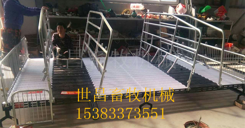 世昌雙體母豬產(chǎn)床豬欄設(shè)備喂豬老母豬床
