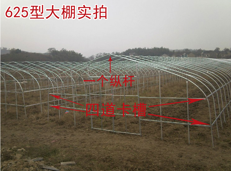 供應安陽蔬菜大棚鋼管大棚鍍鋅鋼管安陽蔬菜大棚鋼管大棚鍍鋅鋼管哪有賣