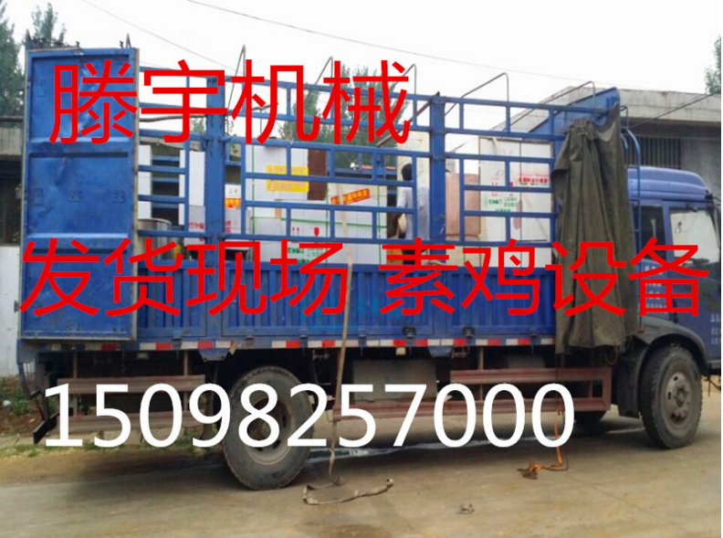 供應山東豆腐腸素雞機 山東豆腐腸素雞機廠家直銷