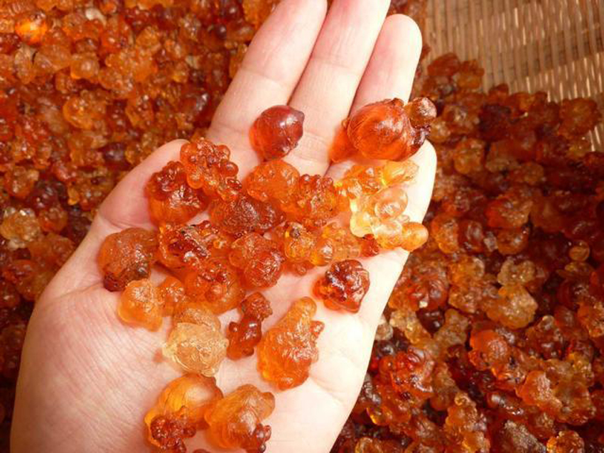 桃膠_桃脂_桃花淚_天然桃膠_食材_養(yǎng)生食材_美容養(yǎng)顏_桃膠的作用功效_桃膠價格_桃膠批發(fā)_桃膠的做法