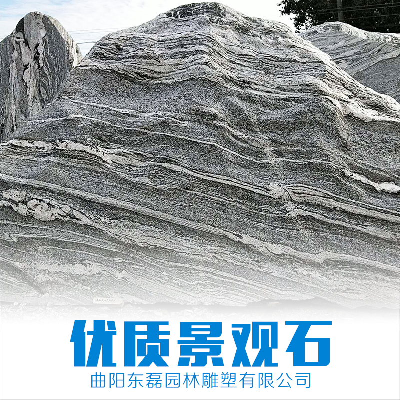 廠家直銷 景觀石 景觀石報(bào)價(jià) 景觀石制造商 景觀石批發(fā) 品質(zhì)保證 售后無(wú)憂 河北景觀石廠家直銷