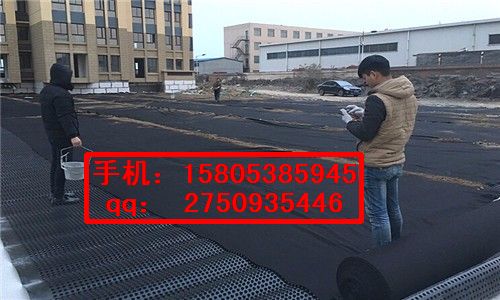 淮北車庫(kù){2公分排水板}塑料疏水板