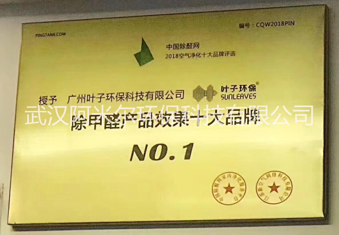 武漢*除甲醛，新房裝修除異