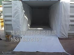 20英尺集裝箱內(nèi)襯袋 集裝箱海包袋 化工原料* PE PP材質(zhì) 朗夫制造 *供應(yīng)