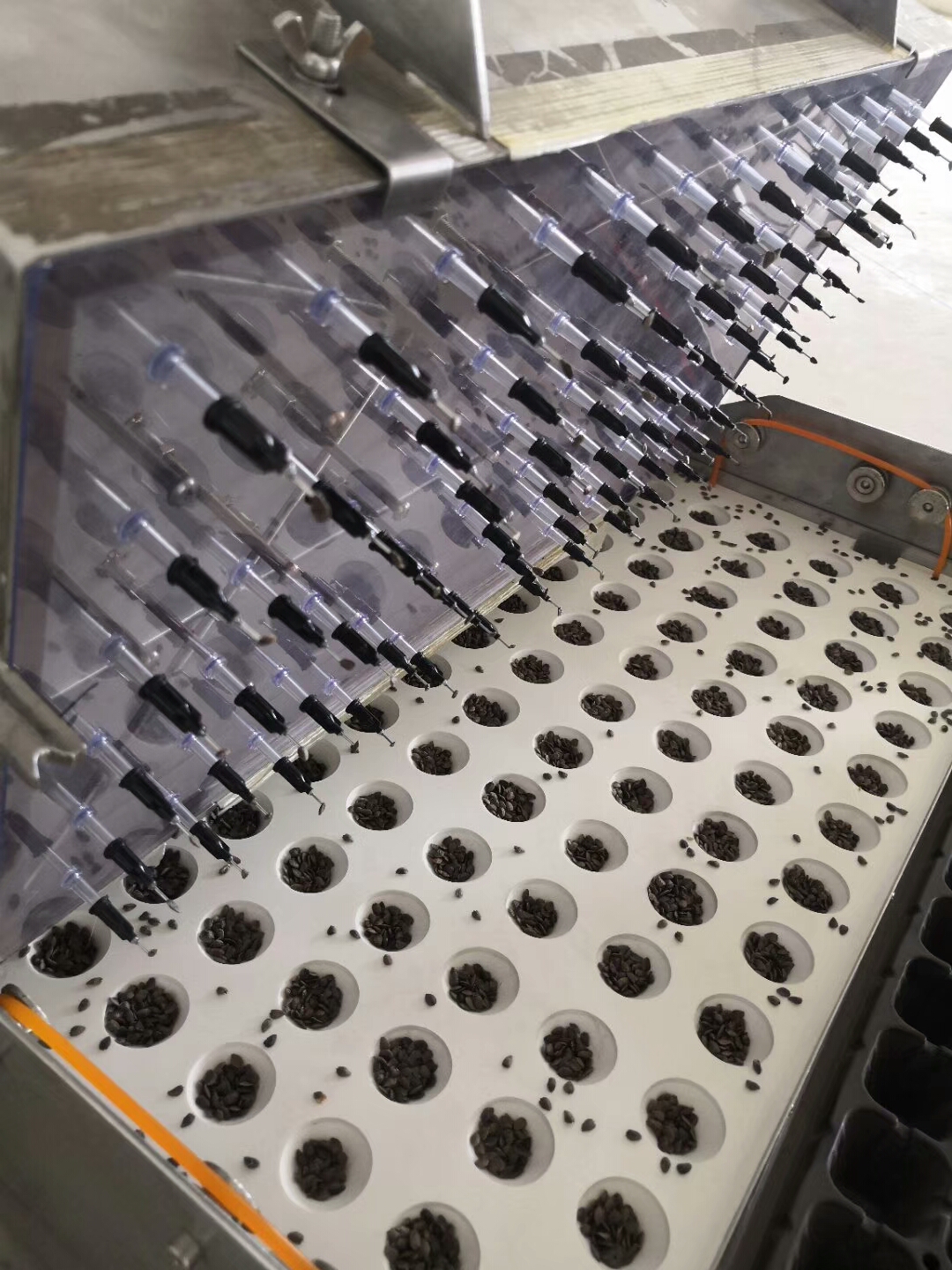 穴盤播種機 針吸式播種 常州風(fēng)雷