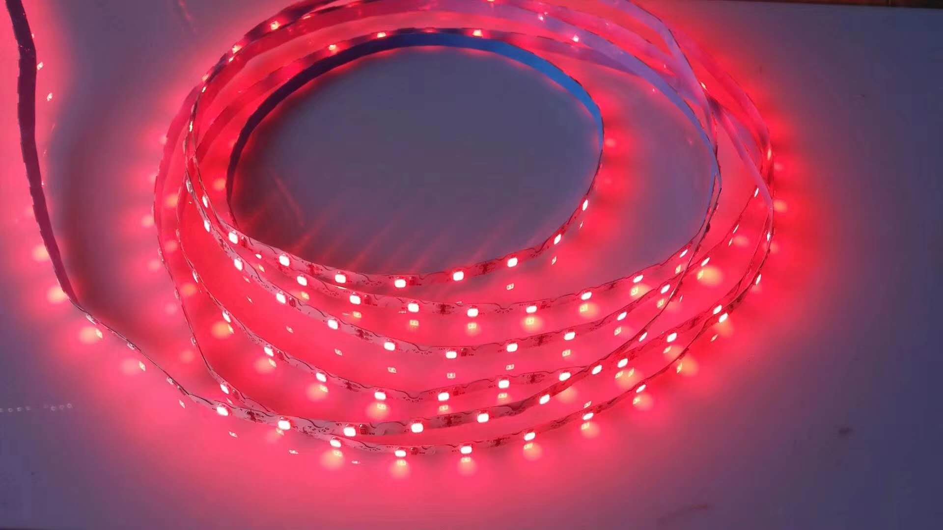 2835軟燈帶 S型柔性燈帶12v高亮白光 樹脂迷你發(fā)光字用燈帶 迷你字燈帶