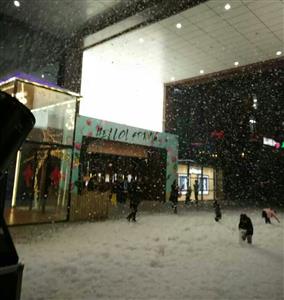大型活動(dòng)舞臺(tái)泡沫機(jī)圣誕雪花機(jī)