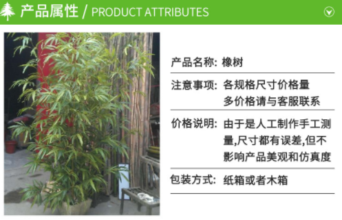 酒店隔斷仿真竹子 家居隔斷仿真竹子 假竹子盆栽 盆景竹子 客廳布置裝飾品
