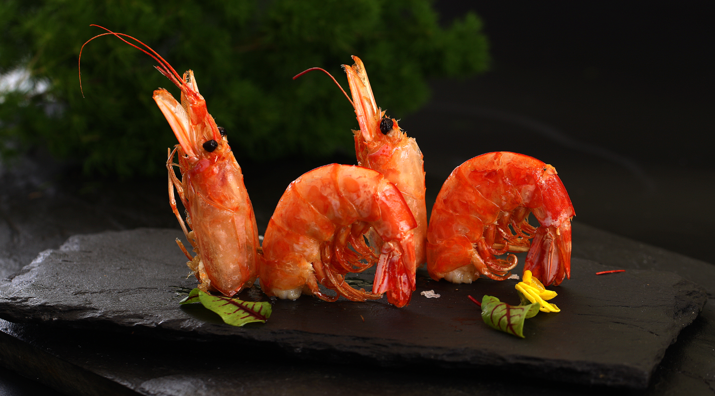 供應(yīng)BJ北京專業(yè)菜譜設(shè)計(jì)制作及菜譜菜品設(shè)計(jì)拍照