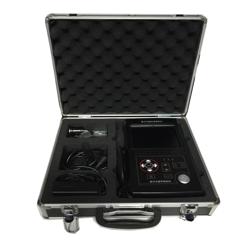 供應(yīng)河南超聲波探傷儀leeb500  廠家直銷(xiāo) 應(yīng)用電氣石化鋼結(jié)構(gòu)壓力容器船舶制造等