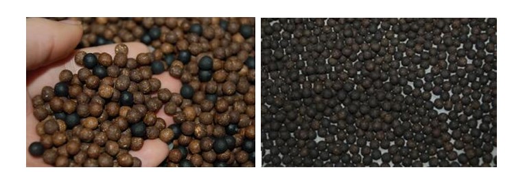 求購全自動中藥制丸機(jī)求購山東全自動中藥制丸機(jī)生產(chǎn)廠家求購山東全自動中藥制丸機(jī)