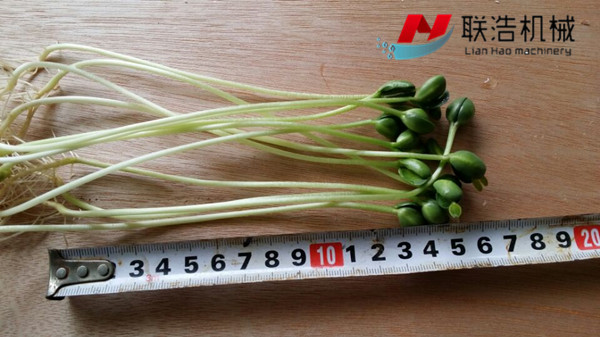 濟南聯(lián)浩全自動芽苗菜機/芽苗菜機 聯(lián)浩全自動芽苗菜機/芽苗菜機價格
