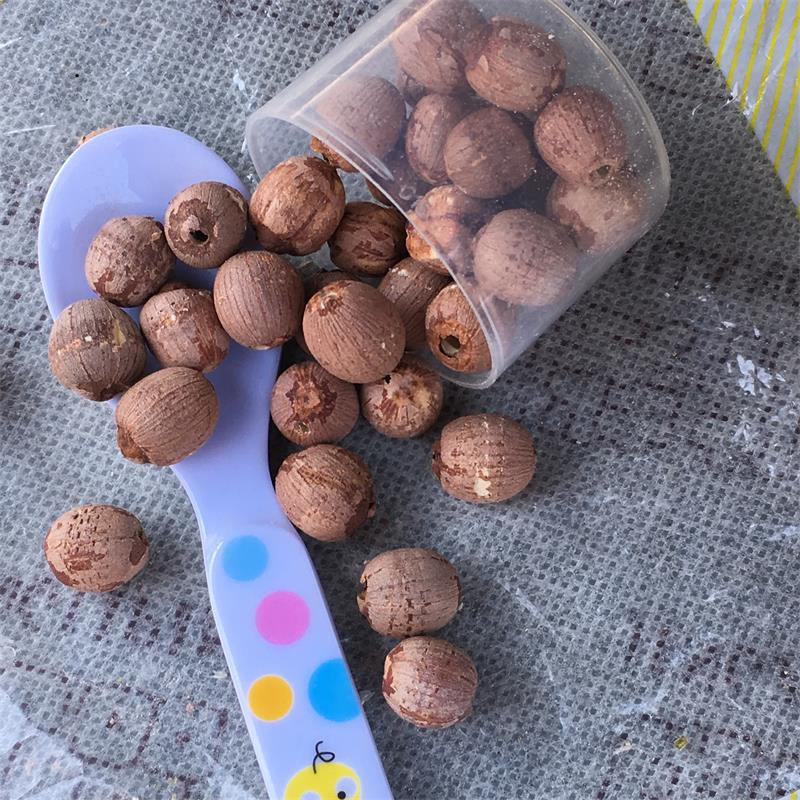 無(wú)心去芯鉆心通心紅蓮子 圓粒湘蓮 尚品蓮皇產(chǎn)地批發(fā)