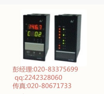 SWP-MD806-00-12-N巡檢儀 昌暉巡檢儀