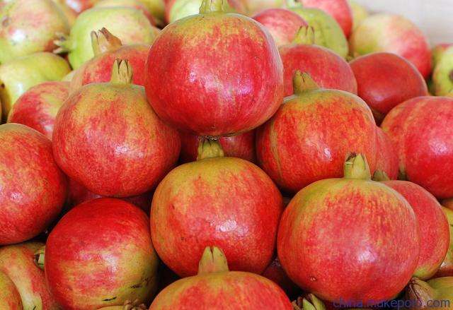 河南軟籽石榴苗 河南軟籽石榴苗廠家 河南軟籽石榴樹(shù)苗 軟籽石榴樹(shù)廠家 軟籽石榴供應(yīng)商