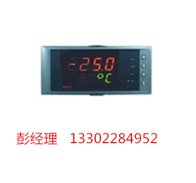 廣州虹潤NHR-1300A-02-1/2/P(24)-A 溫度儀