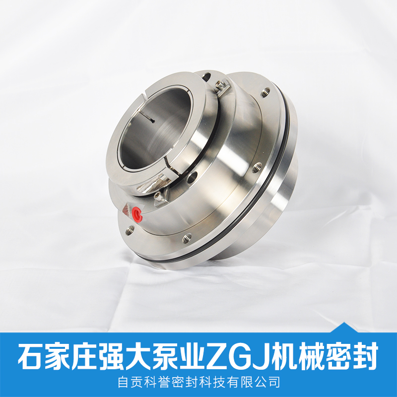 石家莊強(qiáng)大泵業(yè)ZGJ機(jī)械密封 機(jī)械密封廠家 攪拌器機(jī)械密封 攪拌器密封 廠家直銷 品質(zhì)保證