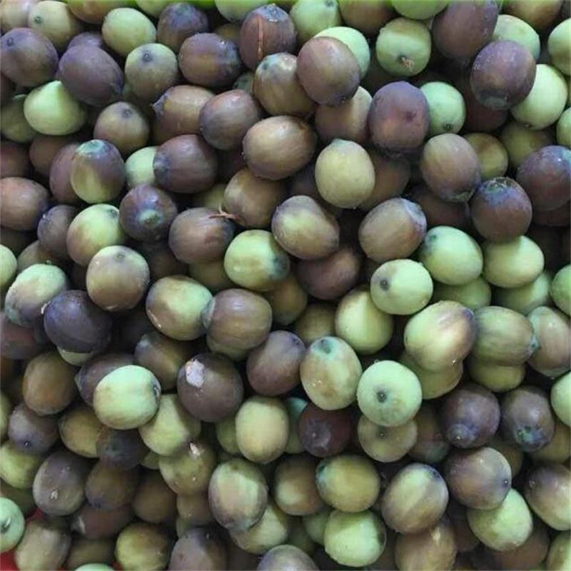 水果蓮子 草蓮子老蓮子麻蓮子 尚品蓮皇產(chǎn)地批發(fā)供應(yīng)