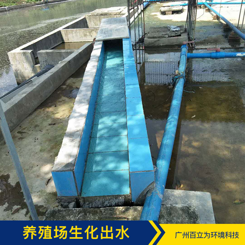 養(yǎng)殖場(chǎng)生化出水 廣州污水凈化方案 污水凈化 污水處理菌 品質(zhì)保證