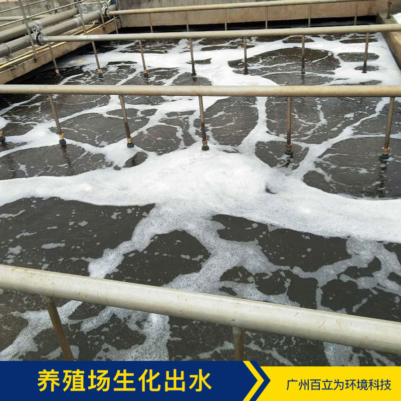 養(yǎng)殖場(chǎng)生化出水 廣州污水凈化方案 污水凈化 污水處理菌 品質(zhì)保證