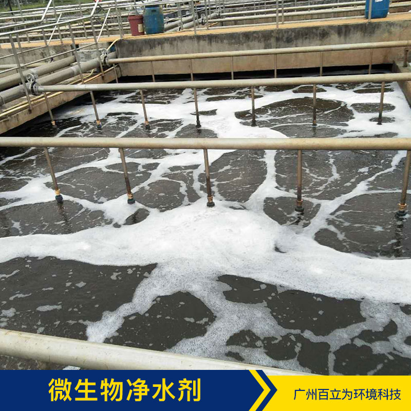 *除臭菌劑 廣州污水凈化方案 污水凈化 污水處理菌 品質(zhì)保證