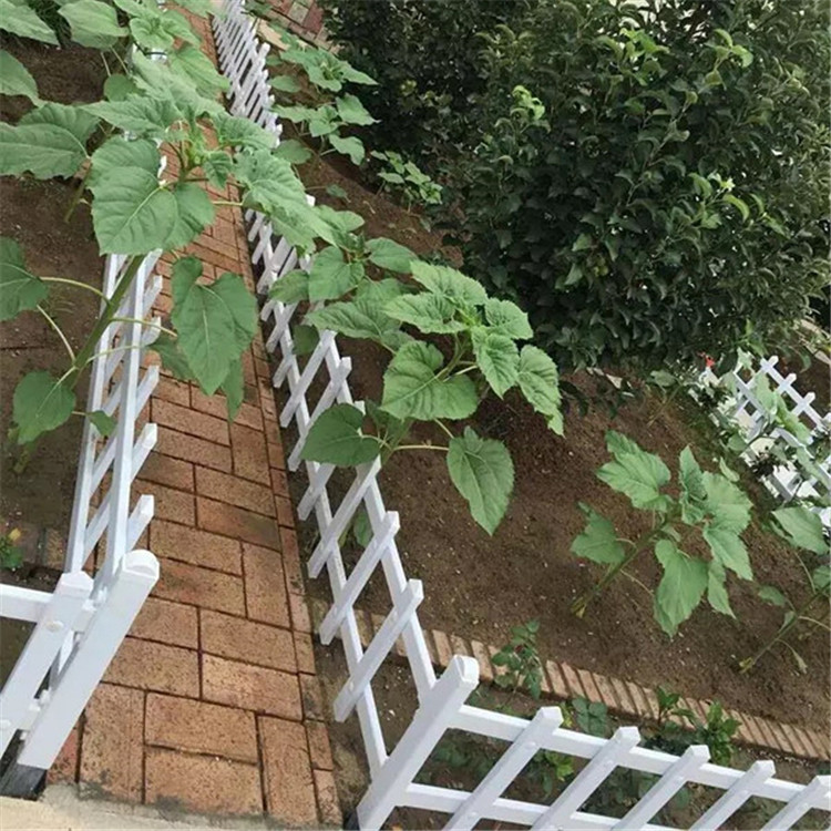 安徽供應(yīng)園林塑料籬笆 白色花園圍欄 庭院30CM防腐木圍欄 40CM草坪PVC圍欄