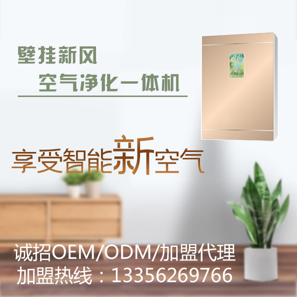 壁掛新風(fēng)空氣凈化一體機(jī)