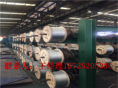 鋼絲繩斗提機輸送帶 青島輸送帶 青島輸送帶生產(chǎn)廠家 斗提機輸送帶 產(chǎn)廠家