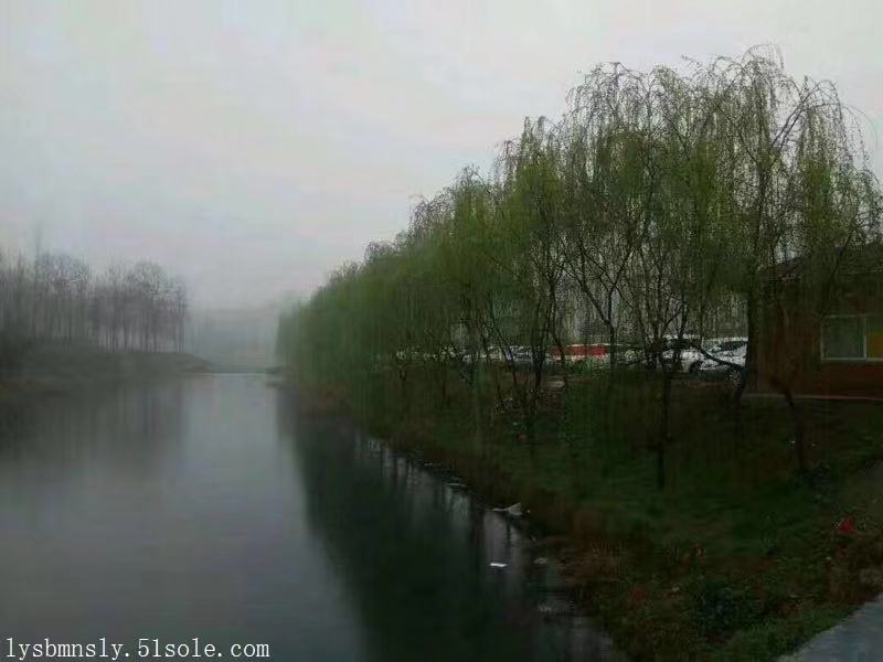 殯葬習(xí)俗常識