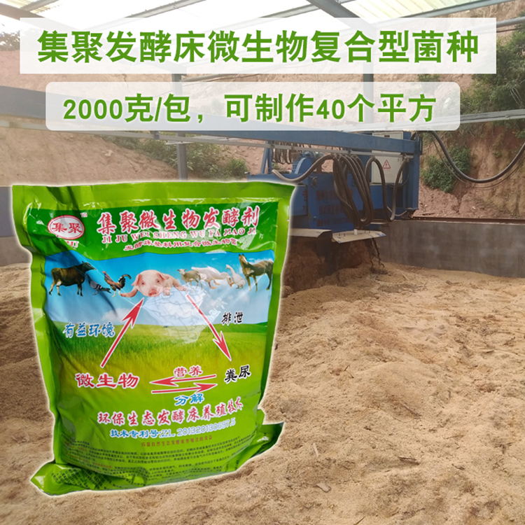 發(fā)酵床*菌種批發(fā)
