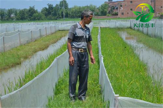 如何選擇青蛙養(yǎng)殖場(chǎng)地